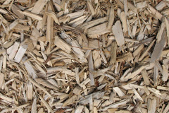 biomass boilers Penbodlas